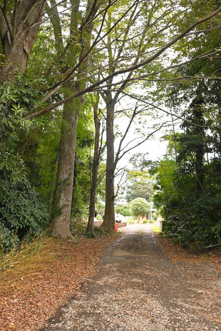 クラブハウスエントランス・アプローチ　桜の木を植える予定