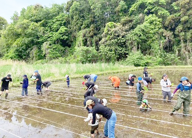 昨年5月田植え作業
